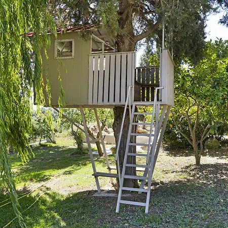 Appartamento Monte Verde 203 Dhematora